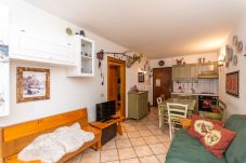 Ferienwohnung in Livinallongo del Col di Lana - Appartamento Boè