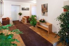 Apartment in Alleghe - Regina 3