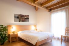 Apartment in Alleghe - Regina 20